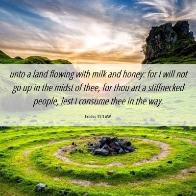 Picture 06 - Exodus 33:3 ASV - unto a land flowing with milk and honey: for I - Bible Verse Picture