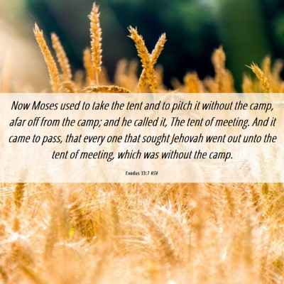 Picture 06 - Exodus 33:7 ASV - Now Moses used to take the tent and to pitch it - Bible Verse Picture