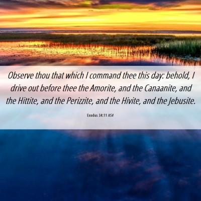 Picture 06 - Exodus 34:11 ASV - Observe thou that which I command thee this day: - Bible Verse Picture