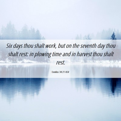 Picture 06 - Exodus 34:21 ASV - Six days thou shalt work, but on the seventh day - Bible Verse Picture