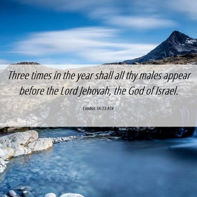 Picture 06 - Exodus 34:23 ASV - Three times in the year shall all thy males - Bible Verse Picture