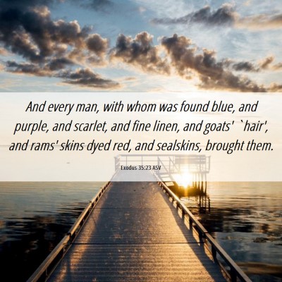 Picture 06 - Exodus 35:23 ASV - And every man, with whom was found blue, and - Bible Verse Picture