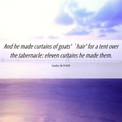 Picture 06 - Exodus 36:14 ASV - And he made curtains of goats' `hair' for a tent - Bible Verse Picture
