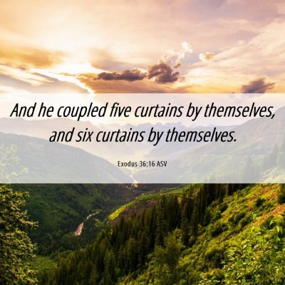Picture 06 - Exodus 36:16 ASV - And he coupled five curtains by themselves, and - Bible Verse Picture