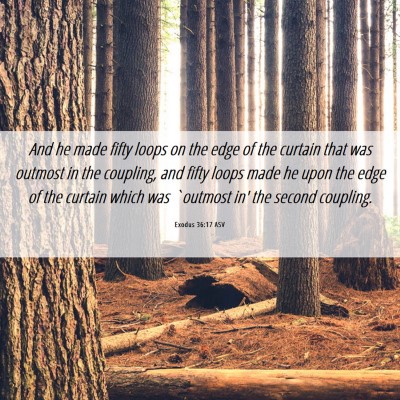 Picture 06 - Exodus 36:17 ASV - And he made fifty loops on the edge of the - Bible Verse Picture