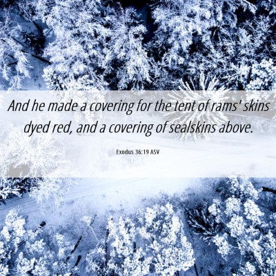 Picture 06 - Exodus 36:19 ASV - And he made a covering for the tent of rams' - Bible Verse Picture