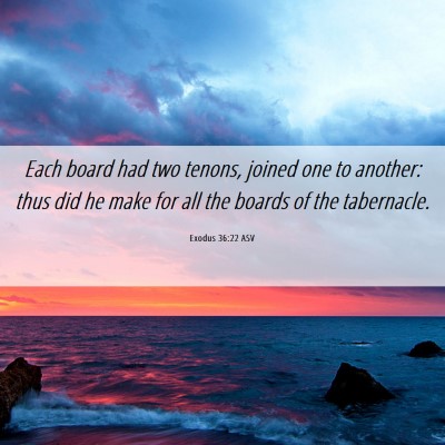 Picture 06 - Exodus 36:22 ASV - Each board had two tenons, joined one to another: - Bible Verse Picture
