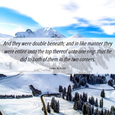Picture 06 - Exodus 36:29 ASV - And they were double beneath; and in like manner - Bible Verse Picture