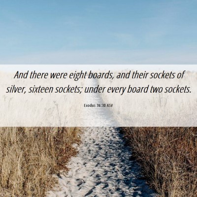 Picture 06 - Exodus 36:30 ASV - And there were eight boards, and their sockets of - Bible Verse Picture
