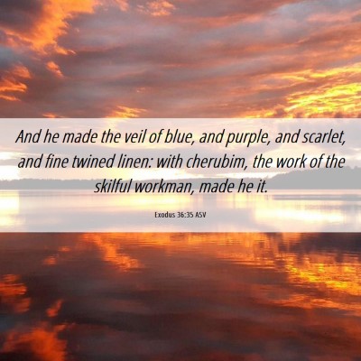 Picture 06 - Exodus 36:35 ASV - And he made the veil of blue, and purple, and - Bible Verse Picture
