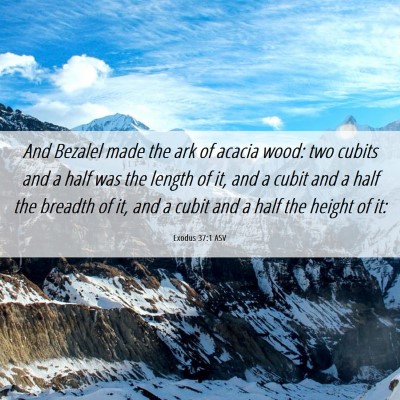 Picture 06 - Exodus 37:1 ASV - And Bezalel made the ark of acacia wood: two - Bible Verse Picture