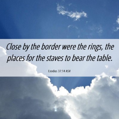 Picture 06 - Exodus 37:14 ASV - Close by the border were the rings, the places - Bible Verse Picture