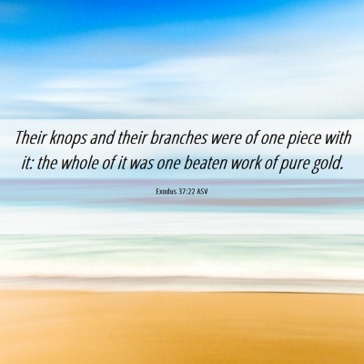 Picture 06 - Exodus 37:22 ASV - Their knops and their branches were of one piece - Bible Verse Picture