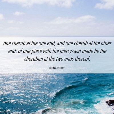 Picture 06 - Exodus 37:8 ASV - one cherub at the one end, and one cherub at the - Bible Verse Picture