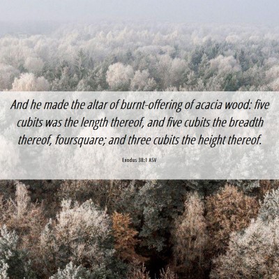 Picture 06 - Exodus 38:1 ASV - And he made the altar of burnt-offering of acacia - Bible Verse Picture
