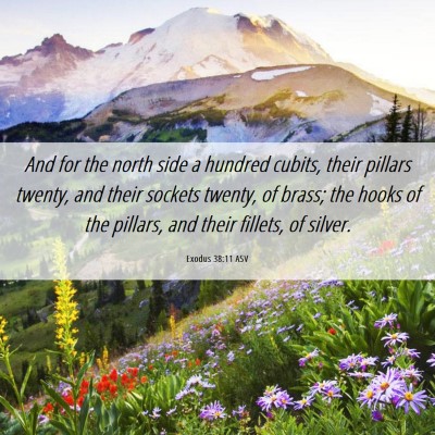 Picture 06 - Exodus 38:11 ASV - And for the north side a hundred cubits, their - Bible Verse Picture