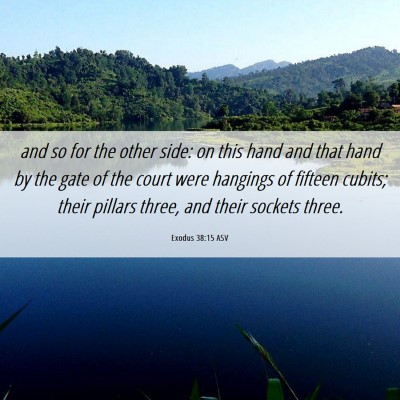Picture 06 - Exodus 38:15 ASV - and so for the other side: on this hand and that - Bible Verse Picture