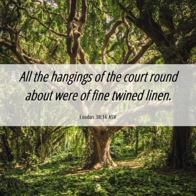 Picture 06 - Exodus 38:16 ASV - All the hangings of the court round about were of - Bible Verse Picture