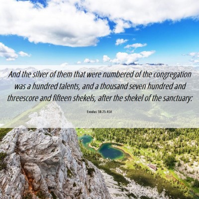 Picture 06 - Exodus 38:25 ASV - And the silver of them that were numbered of the - Bible Verse Picture