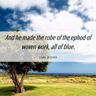 Picture 06 - Exodus 39:22 ASV - And he made the robe of the ephod of woven work, - Bible Verse Picture