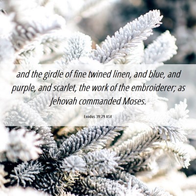 Picture 06 - Exodus 39:29 ASV - and the girdle of fine twined linen, and blue, - Bible Verse Picture