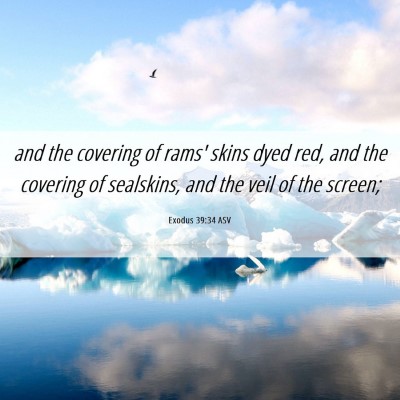 Picture 06 - Exodus 39:34 ASV - and the covering of rams' skins dyed red, and the - Bible Verse Picture