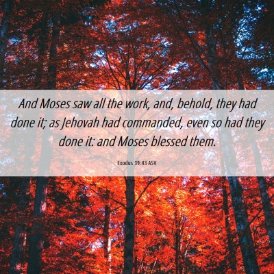 Picture 06 - Exodus 39:43 ASV - And Moses saw all the work, and, behold, they had - Bible Verse Picture