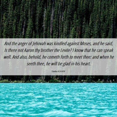 Picture 06 - Exodus 4:14 ASV - And the anger of Jehovah was kindled against - Bible Verse Picture