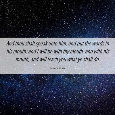 Picture 06 - Exodus 4:15 ASV - And thou shalt speak unto him, and put the words - Bible Verse Picture