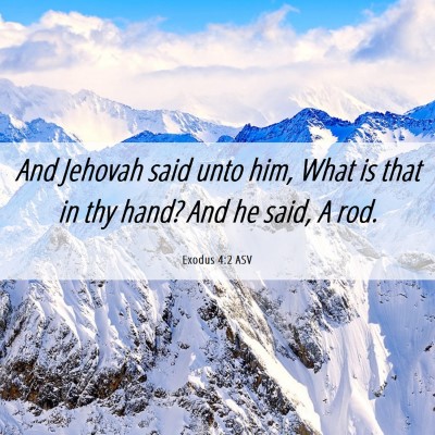 Picture 06 - Exodus 4:2 ASV - And Jehovah said unto him, What is that in thy - Bible Verse Picture