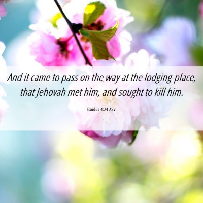 Picture 06 - Exodus 4:24 ASV - And it came to pass on the way at the - Bible Verse Picture