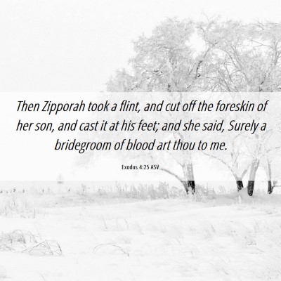 Picture 06 - Exodus 4:25 ASV - Then Zipporah took a flint, and cut off the - Bible Verse Picture