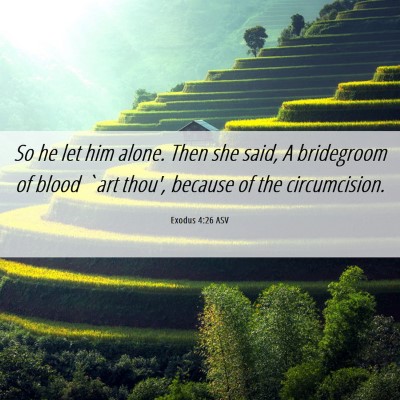 Picture 06 - Exodus 4:26 ASV - So he let him alone. Then she said, A bridegroom - Bible Verse Picture