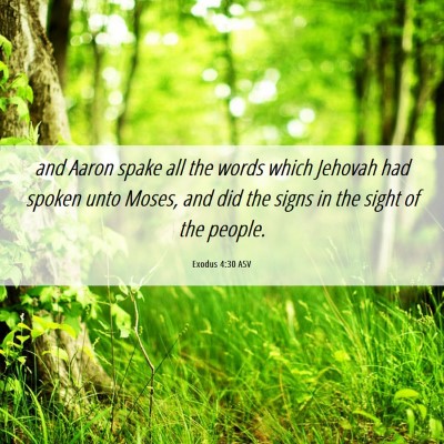 Picture 06 - Exodus 4:30 ASV - and Aaron spake all the words which Jehovah had - Bible Verse Picture