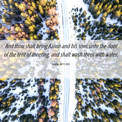 Picture 06 - Exodus 40:12 ASV - And thou shalt bring Aaron and his sons unto the - Bible Verse Picture