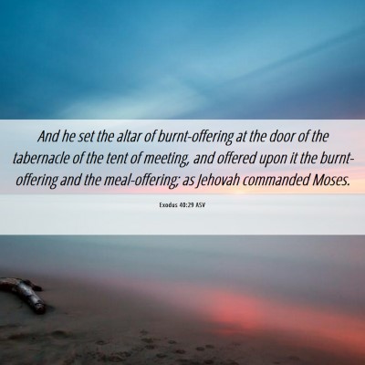 Picture 06 - Exodus 40:29 ASV - And he set the altar of burnt-offering at the - Bible Verse Picture