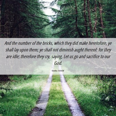 Picture 06 - Exodus 5:8 ASV - And the number of the bricks, which they did make - Bible Verse Picture