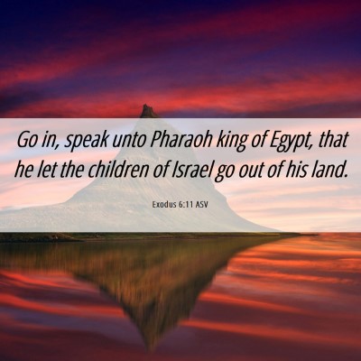Picture 06 - Exodus 6:11 ASV - Go in, speak unto Pharaoh king of Egypt, that he - Bible Verse Picture