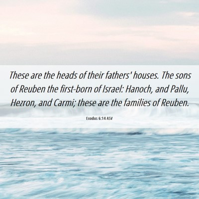 Picture 06 - Exodus 6:14 ASV - These are the heads of their fathers' houses. The - Bible Verse Picture