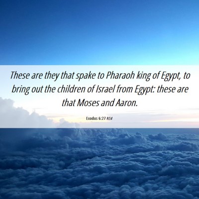 Picture 06 - Exodus 6:27 ASV - These are they that spake to Pharaoh king of - Bible Verse Picture