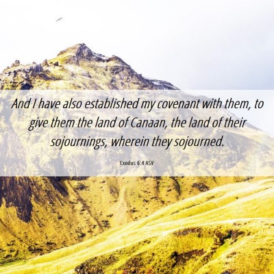 Picture 06 - Exodus 6:4 ASV - And I have also established my covenant with - Bible Verse Picture