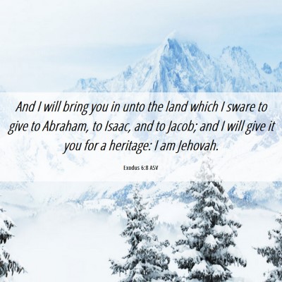 Picture 06 - Exodus 6:8 ASV - And I will bring you in unto the land which I - Bible Verse Picture