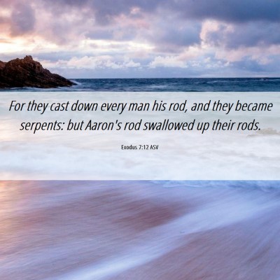 Picture 06 - Exodus 7:12 ASV - For they cast down every man his rod, and they - Bible Verse Picture