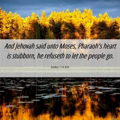 Picture 06 - Exodus 7:14 ASV - And Jehovah said unto Moses, Pharaoh's heart is - Bible Verse Picture