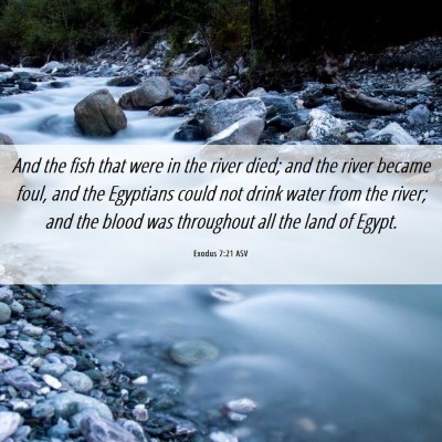 Picture 06 - Exodus 7:21 ASV - And the fish that were in the river died; and the - Bible Verse Picture