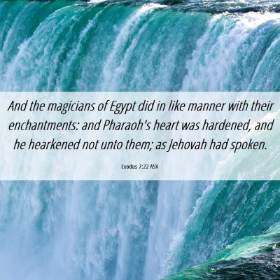 Picture 06 - Exodus 7:22 ASV - And the magicians of Egypt did in like manner - Bible Verse Picture