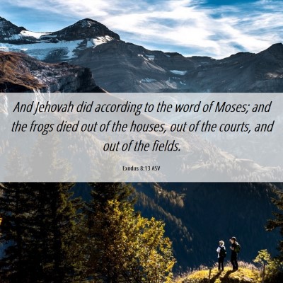 Picture 06 - Exodus 8:13 ASV - And Jehovah did according to the word of Moses; - Bible Verse Picture