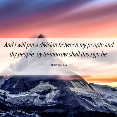 Picture 06 - Exodus 8:23 ASV - And I will put a division between my people and - Bible Verse Picture
