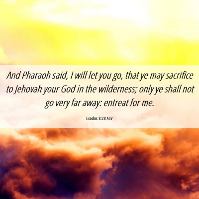 Picture 06 - Exodus 8:28 ASV - And Pharaoh said, I will let you go, that ye may - Bible Verse Picture