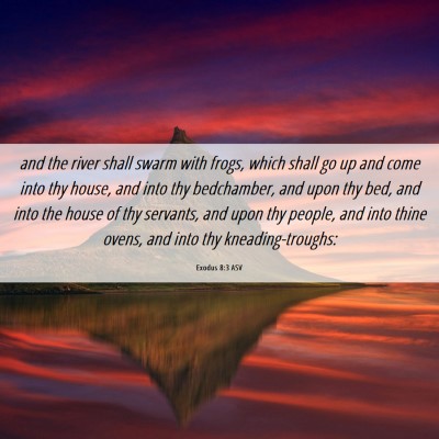Picture 06 - Exodus 8:3 ASV - and the river shall swarm with frogs, which shall - Bible Verse Picture